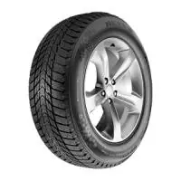 Akční Cena Nexen Winguard Ice Plus 245/40 R18 97T