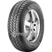 Nejlepší Cena Maxxis WP-05 Arctictrekker 155/65 R14 79T