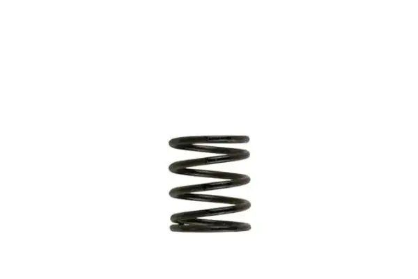 Ověřený Pružina do wastegate Turbosmart WG38/40/45/50L - 3 psi vnitřní - hnědá/černá